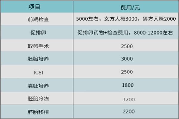 试管代生孩子价格