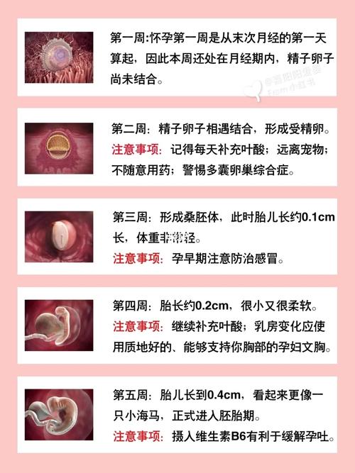 国内代孕宝宝出生多少天能看见东西